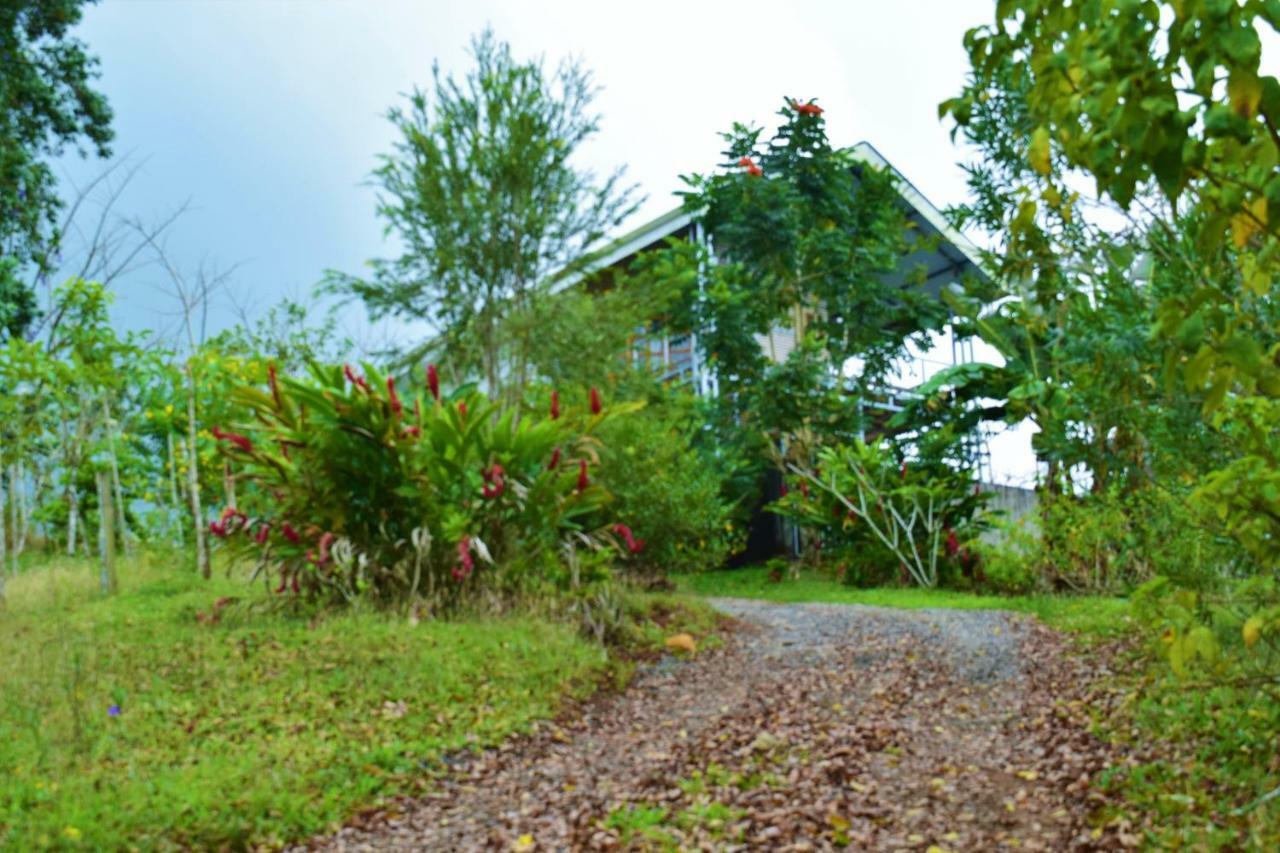 Hotel Rio Celeste Finca L' Etoile Celeste El Achiote Exterior foto