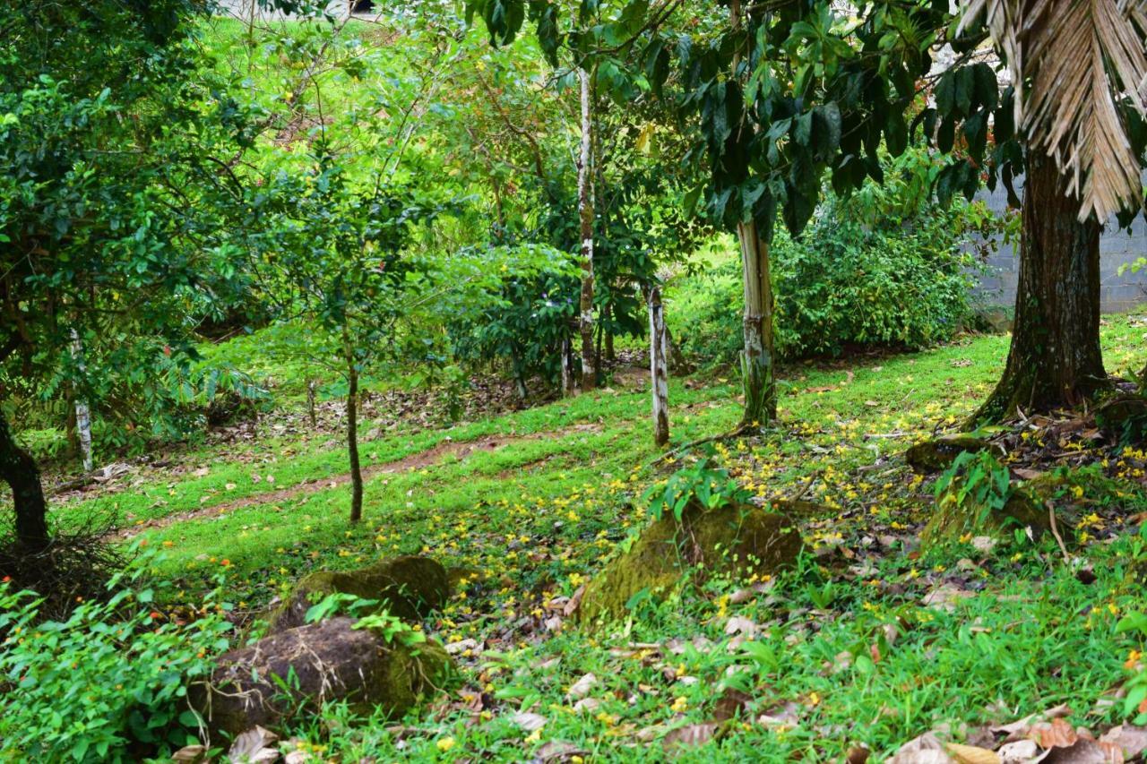 Hotel Rio Celeste Finca L' Etoile Celeste El Achiote Exterior foto